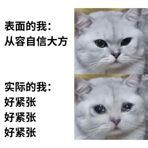 外向的人也有可能社恐，看看这些表现你符合几条