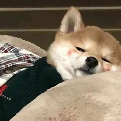 如何拒绝摆烂心理 