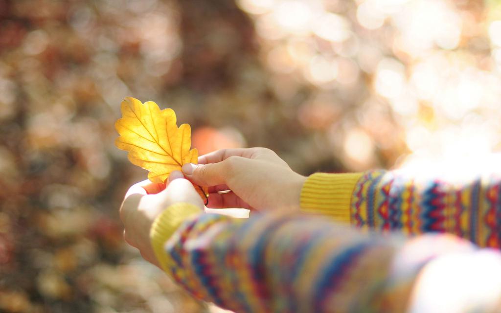 高情商的暖心句子 伤心难过时安慰的句子