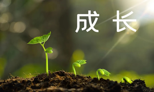 你要付出多少代价才会成长