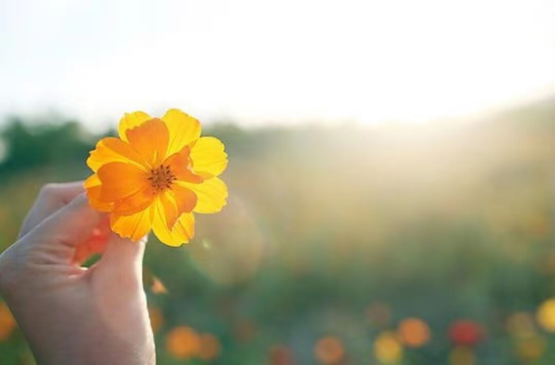 心情不好怎么办，这几个方法教你如何快速调整心情！