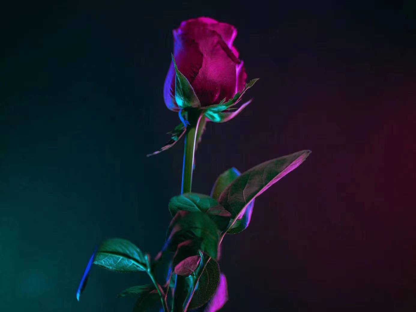 两性之间的最原始欲望：探索我们的本性