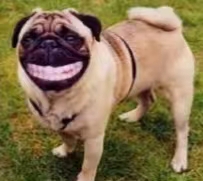 什么是治愈心灵最好的方式