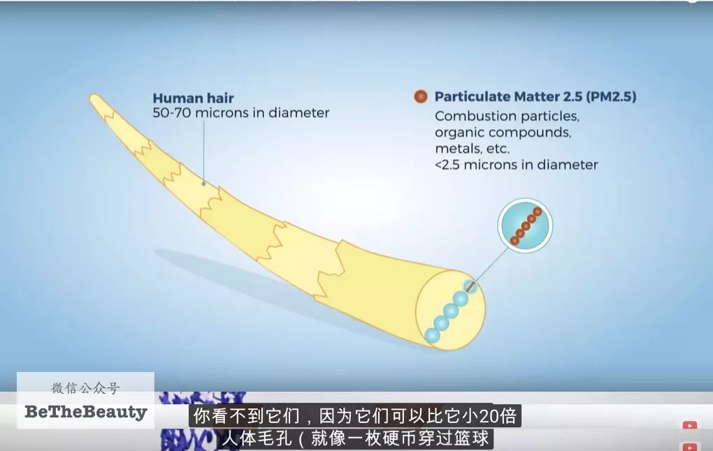 全民过劳丑时代，又懒又丧的人要如何逆袭？