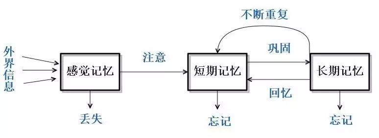 背书总是忘？记忆心理学教你好方法！