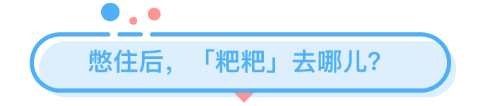 憋屎47天，身体会发生什么可怕变化？