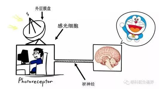 「光遗传学」只用一束光，就可以操控他人的意念