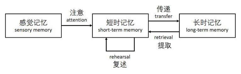 你不是天生健忘，只是记忆力用错了方向