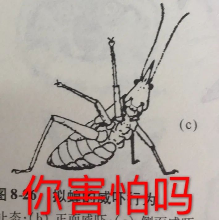 曼德拉效应是什么？曼德拉效应的产生原因