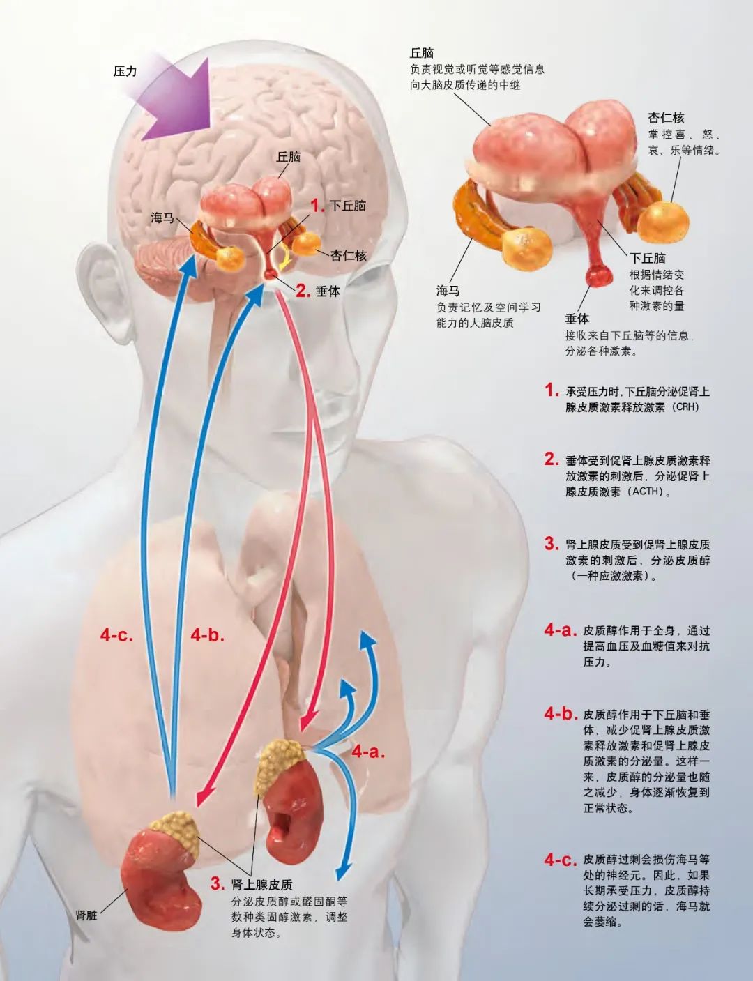 长期心情低落，我是不是抑郁症了？