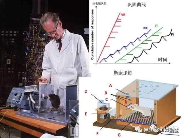 skinner简介：斯金纳的新行为主义论