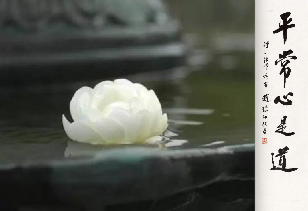超人、平常心、抑郁症-关于生命的意义
