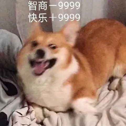 如何正确的找到男朋友？