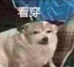 如何正确的找到男朋友？