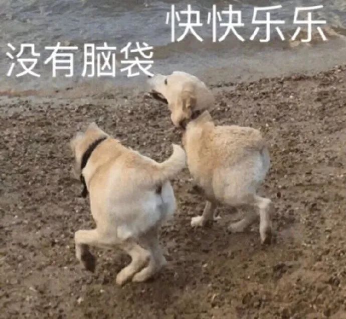 如何正确的找到男朋友？