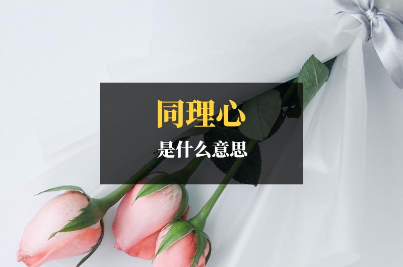 同理心是什么意思