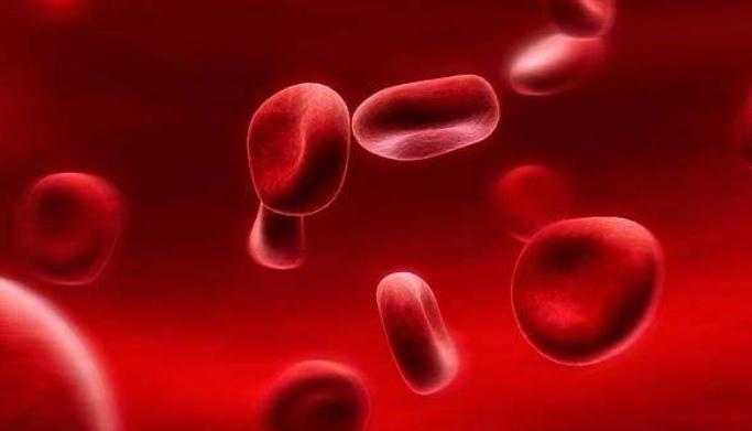 什么血型得什么病你知道吗？