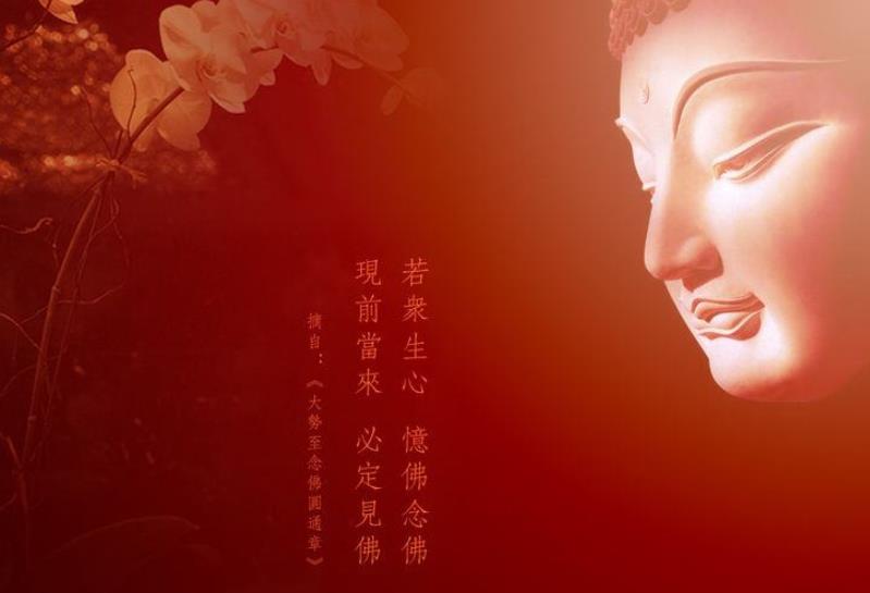 人生中究竟需要放下些什么