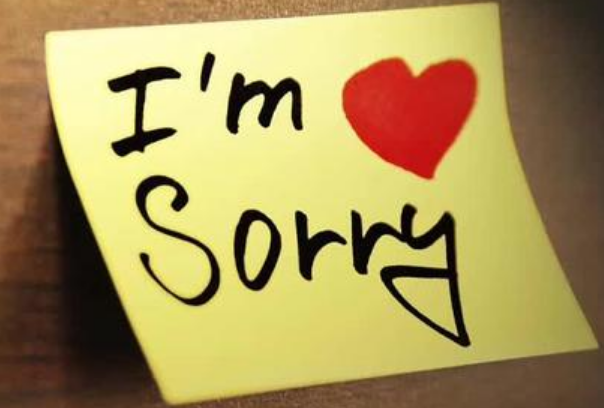 为什么你总是主动的去道歉