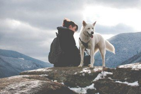 测你容易招惹坏人吗