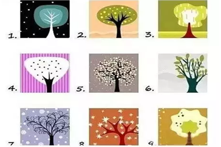 九棵树测出你究竟是怎样的人