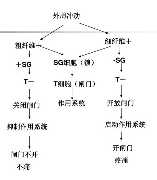 疼痛心理学 | 痛着痛着就好了？