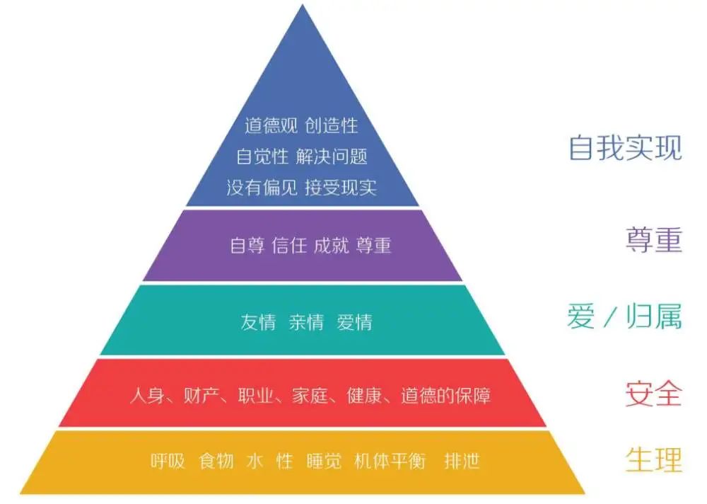 老鼠乌托邦--惊人的实验，令人沉默的沉思