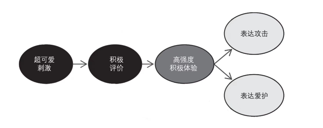 科学解读《可爱攻击》与情绪系统和奖励系统有关