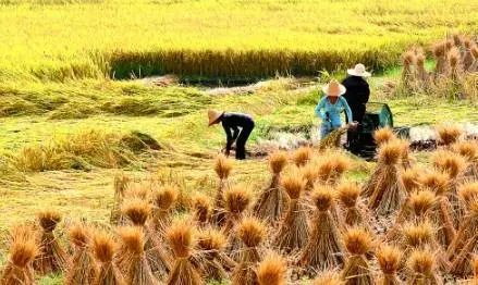 活在当下，让我获得了发自内心的平和与喜悦