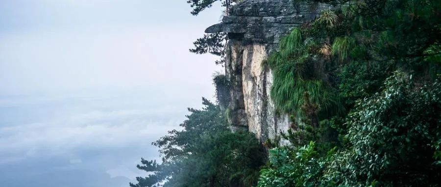 取悦症的危害及治愈方法