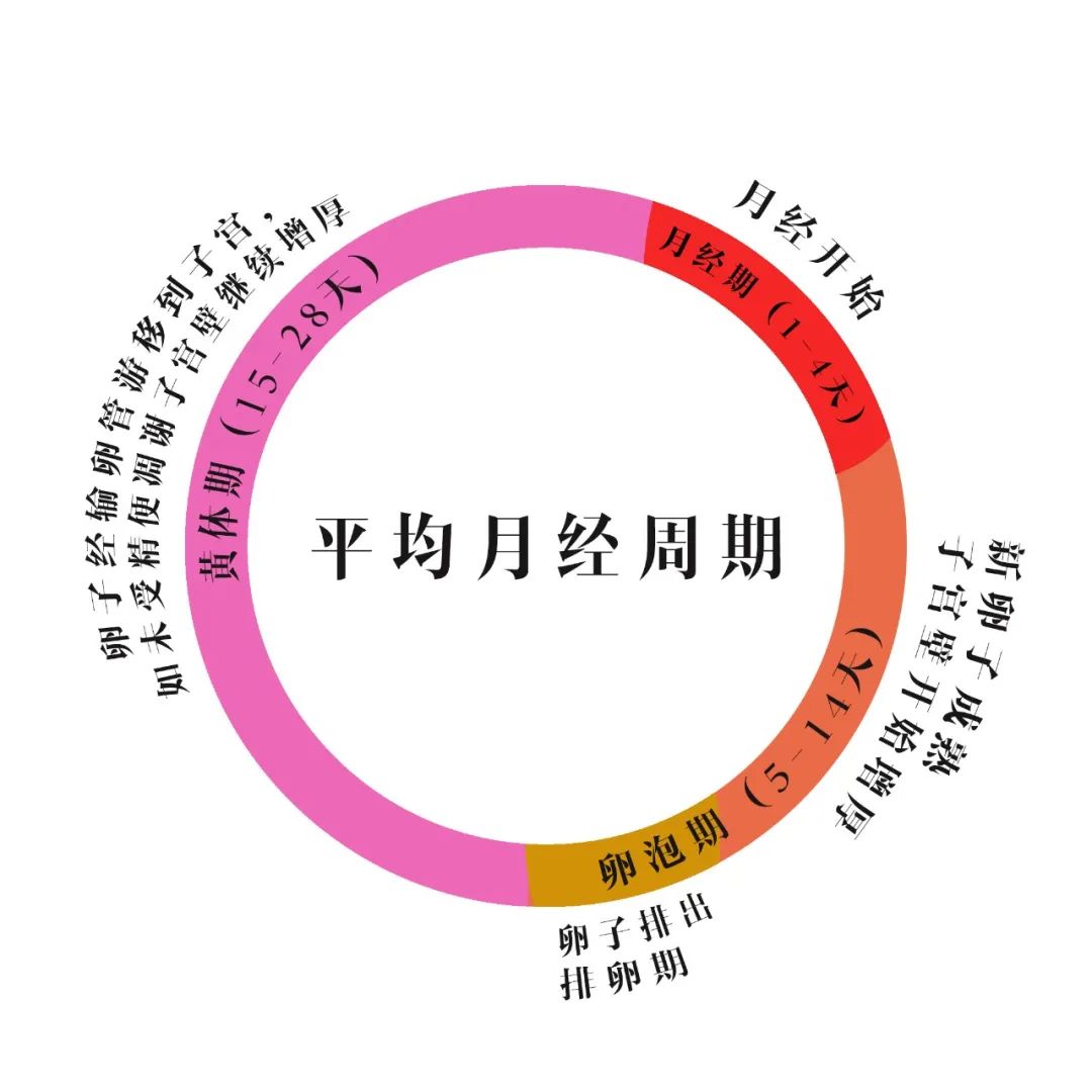 消费行为可能与月经周期相关