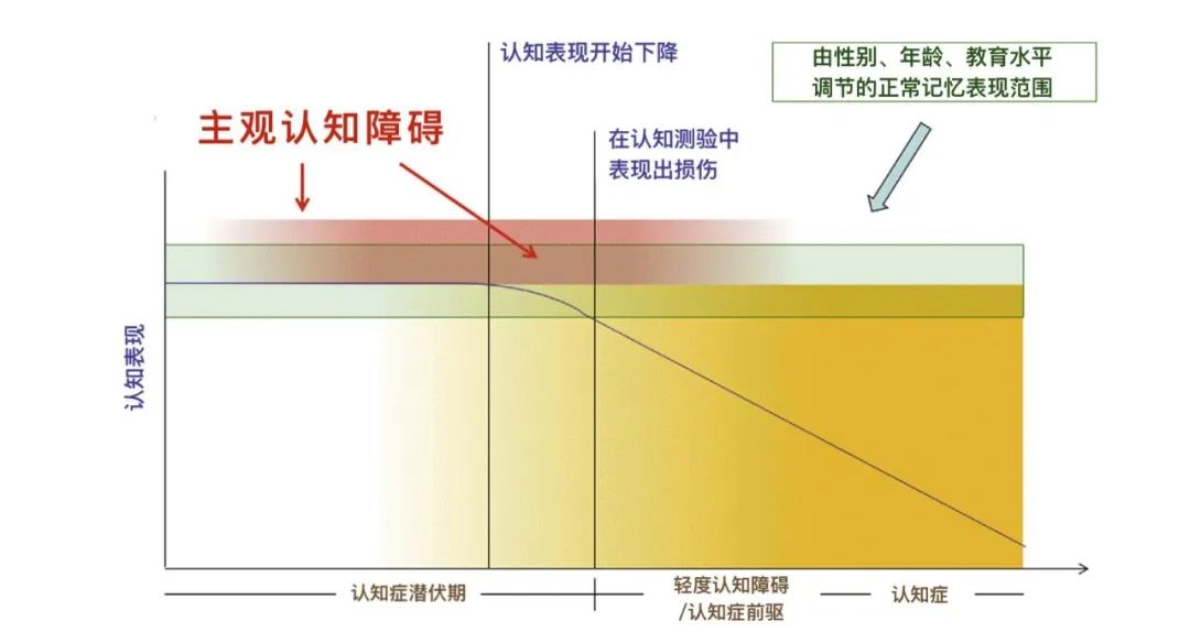 什么是主观认知障碍？