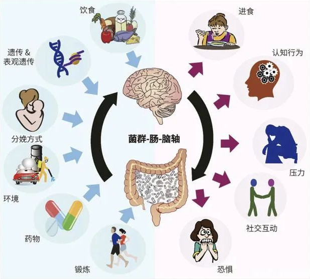 你的抑郁90%可以靠食物改善