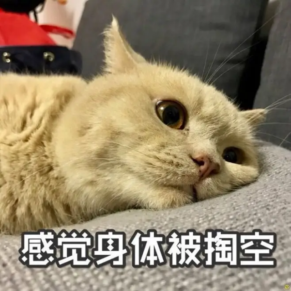 过度共情是什么意思?