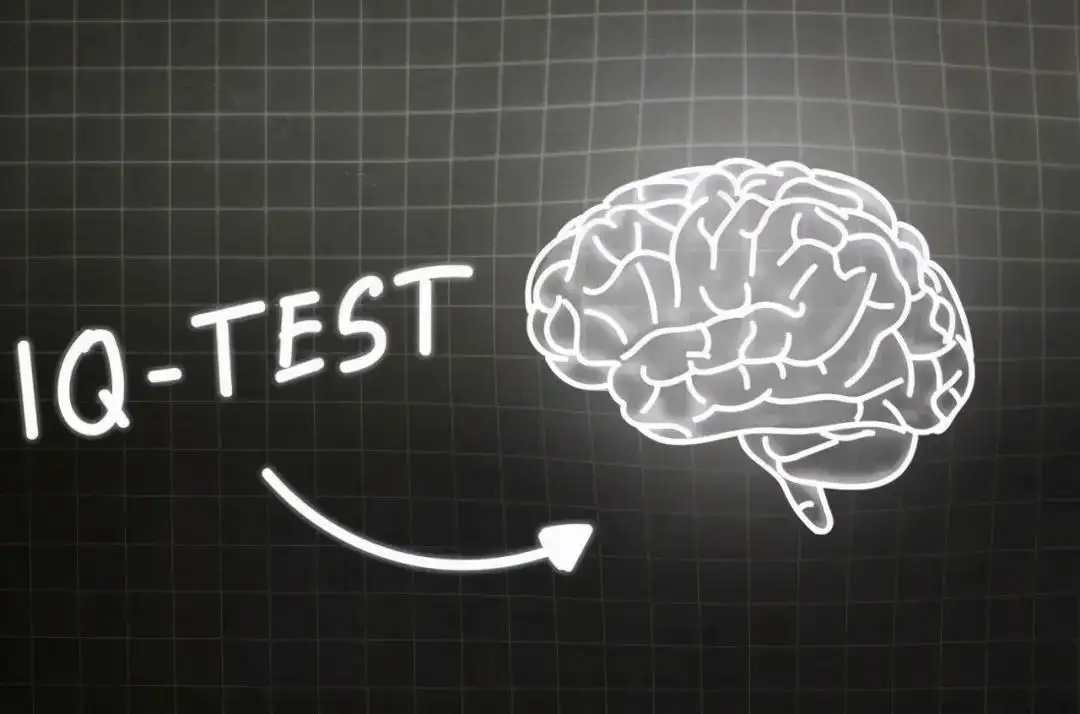 什么是大脑执行功能、大脑的执行功能是什么？