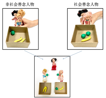 儿童社会善念理解的发展与心理理论的关系