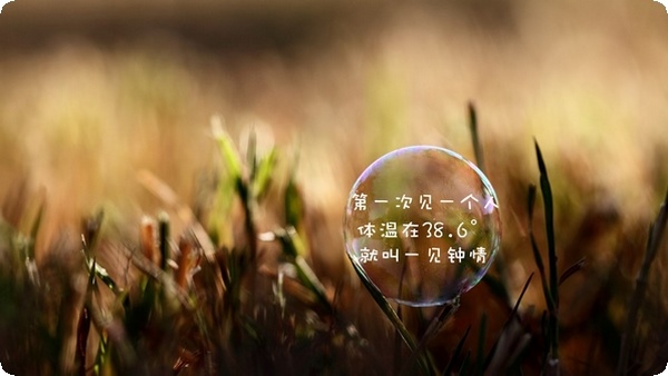 什么时候老实人会变成人精