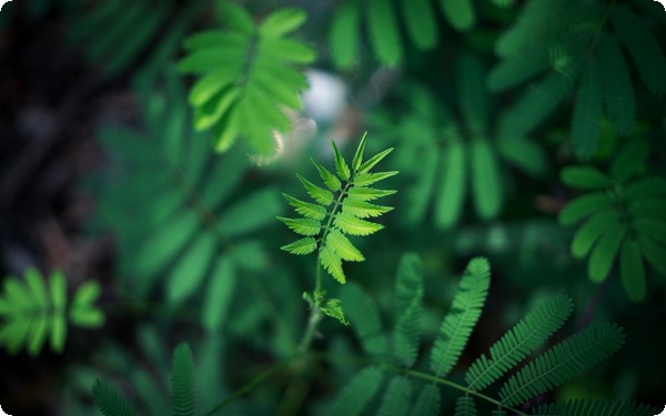 异地恋怎么维持感情 三招保鲜：情感有约爱常在