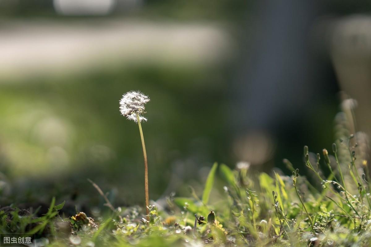 心理抑郁免费自测问题